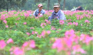 我们的节日中秋 我们的节日中秋