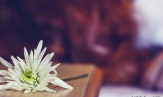 我难过的是无话不说