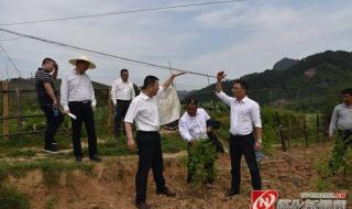 溆浦到怀化的火车