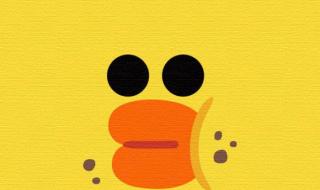 鸭鸭水乐园 鸭鸭水乐园