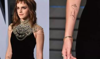 我们是斗士 我们是斗士