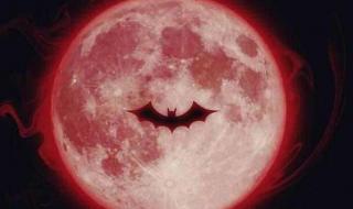 5月26日血月 5月26日血月