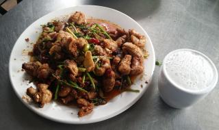 羊宝是什么 羊宝是什么