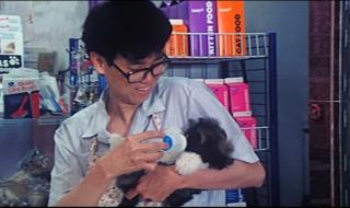 开心鬼上错身女主角