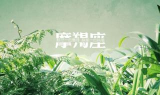 射手座的守护星座 射手座的守护星座