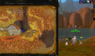 wow战斗宠物训练师