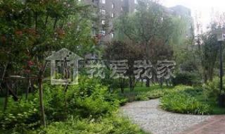 天津万科假日风景