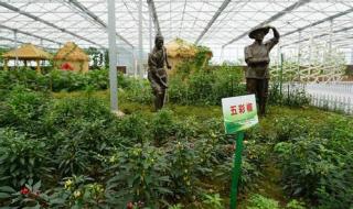 职业技术培训学校 职业技术培训学校