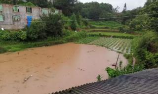 贵阳多地遭遇大暴雨 贵阳多地遭遇大暴雨