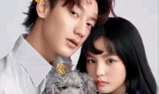 秦爷的小哑巴网络剧