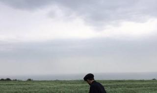 狂欢是一群人的孤单 狂欢是一群人的孤单