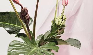 想学花艺将来开花店 想学花艺将来开花店