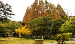 上海交大农学院 上海交大农学院