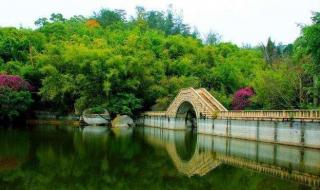 园林植物园 园林植物园