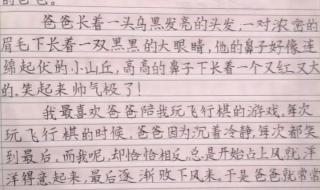 1一3年级日记 1一3年级日记