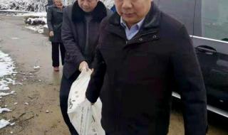 驻马店高中 驻马店高中