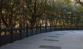 普陀山旅游攻略二日游 普陀山旅游攻略二日游