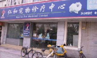 网上宠物医院咨询 网上宠物医院咨询