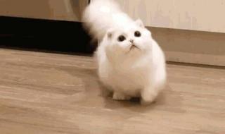 哒哒哒是什么歌