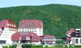 吉林大范围雾凇景观