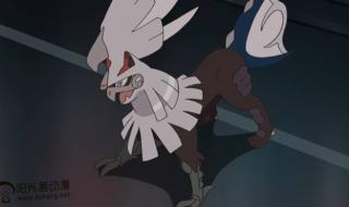 宠物小精灵太阳月亮 宠物小精灵太阳月亮