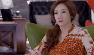 宋洋演过的电视剧