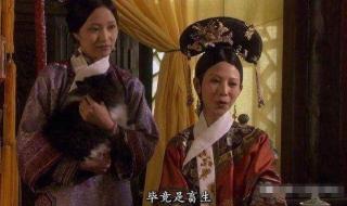 偏偏喜欢你谐音歌词 偏偏喜欢你谐音歌词