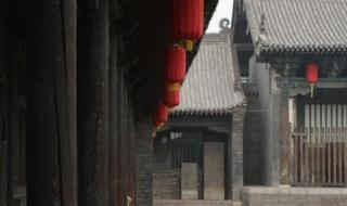 舍不得孩子套不住狼