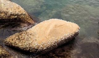 珠海外伶仃岛好玩吗 珠海外伶仃岛好玩吗