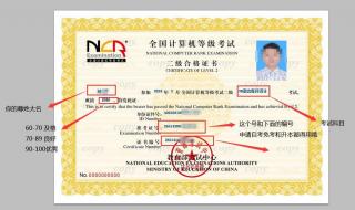 计算机等级证书查询