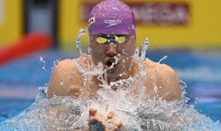 2023国际泳联世锦赛