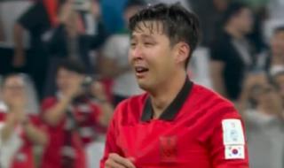 2022世界杯出线的国家