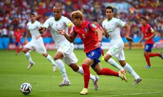 韩国世界杯2022阵容